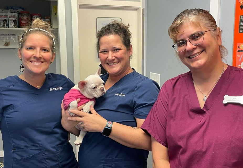 staff members smiling and holding small pug