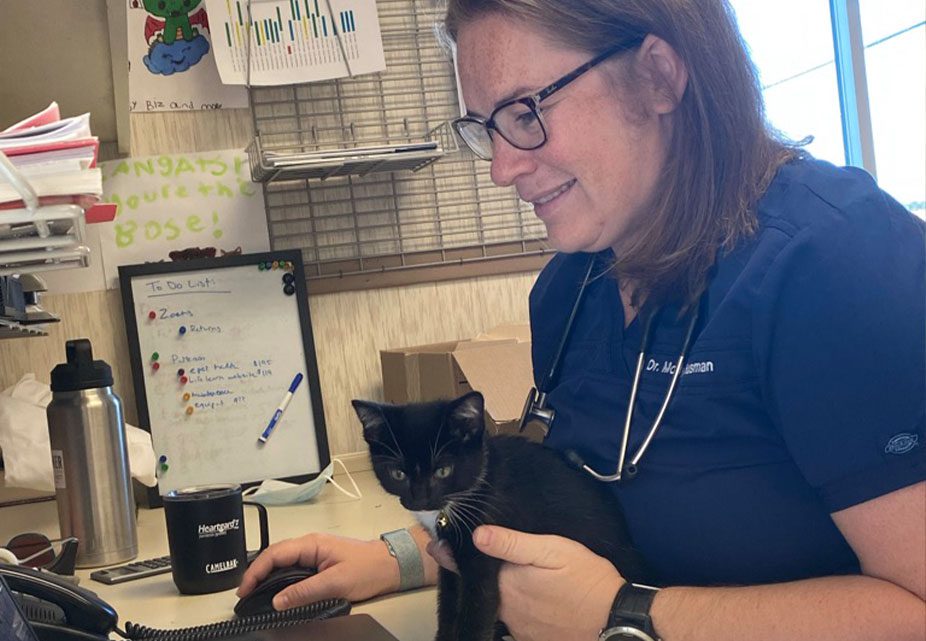 Staff Member On Computer With Cat