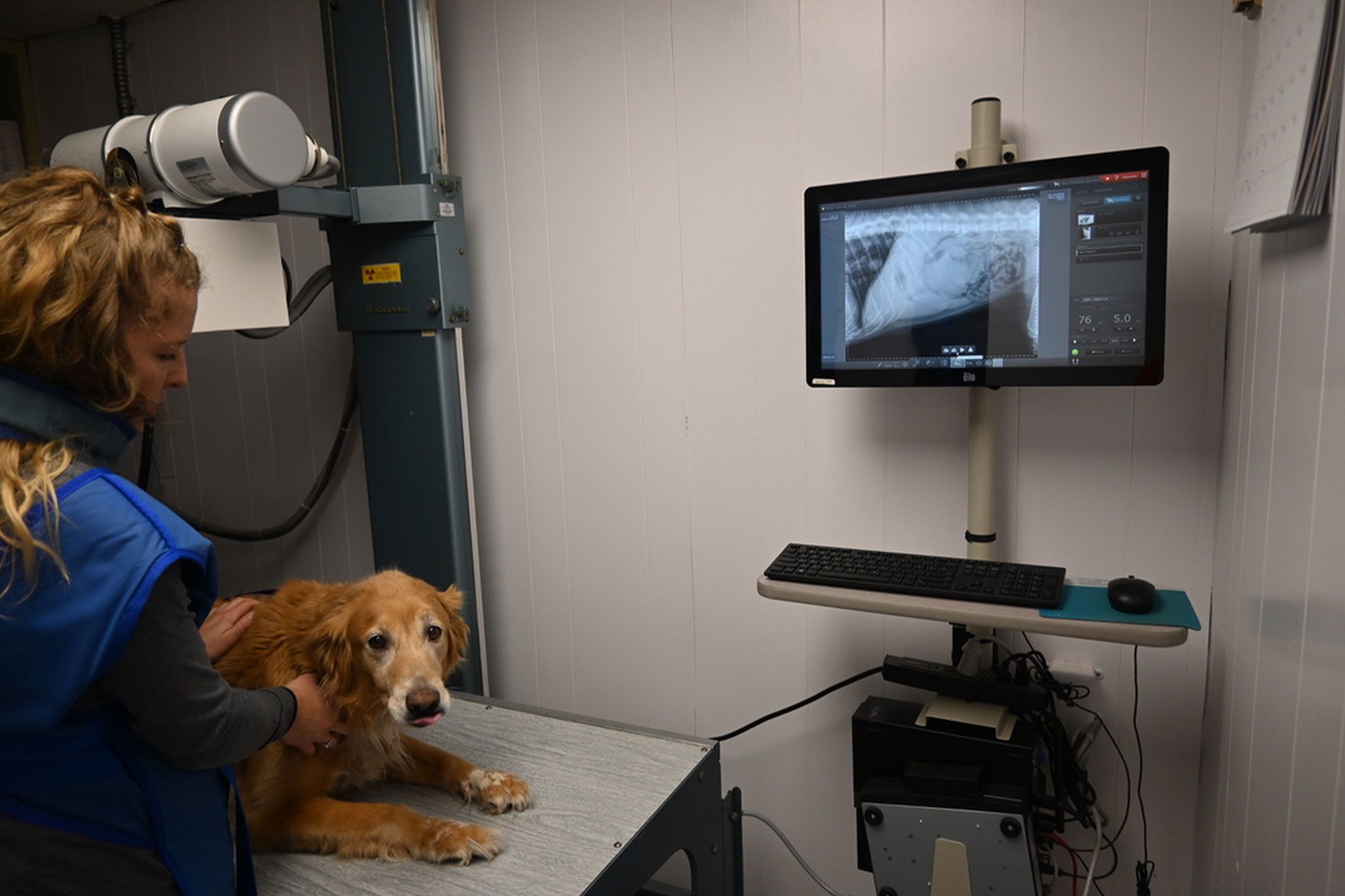 Staff Member With Dog Getting Xray