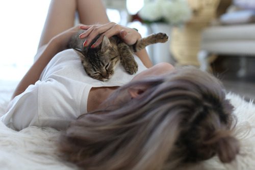 cat laying on female owner's chest while in bed