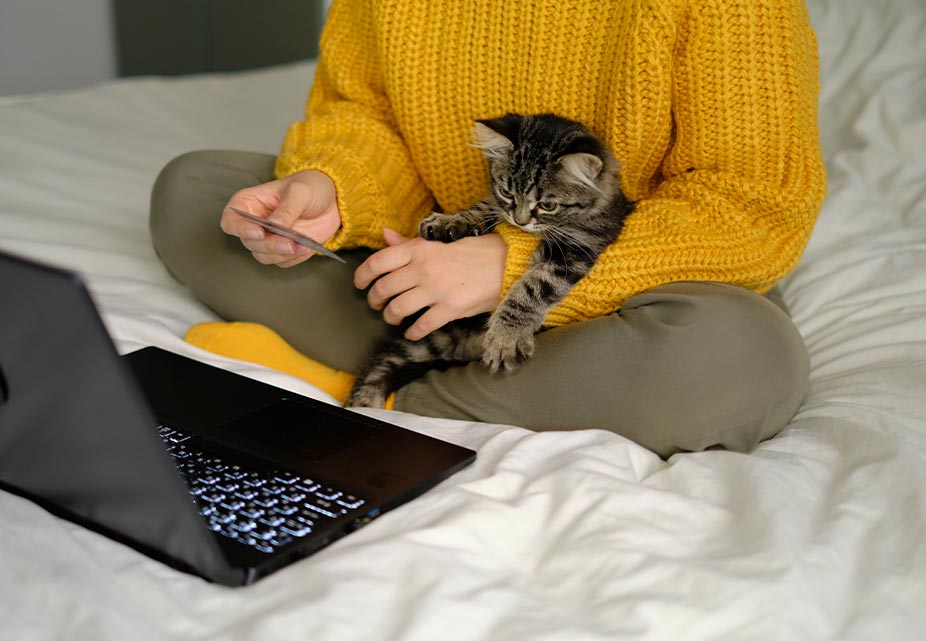 female wearing yellow sweater making payment online with credit card while holding kitten in lap