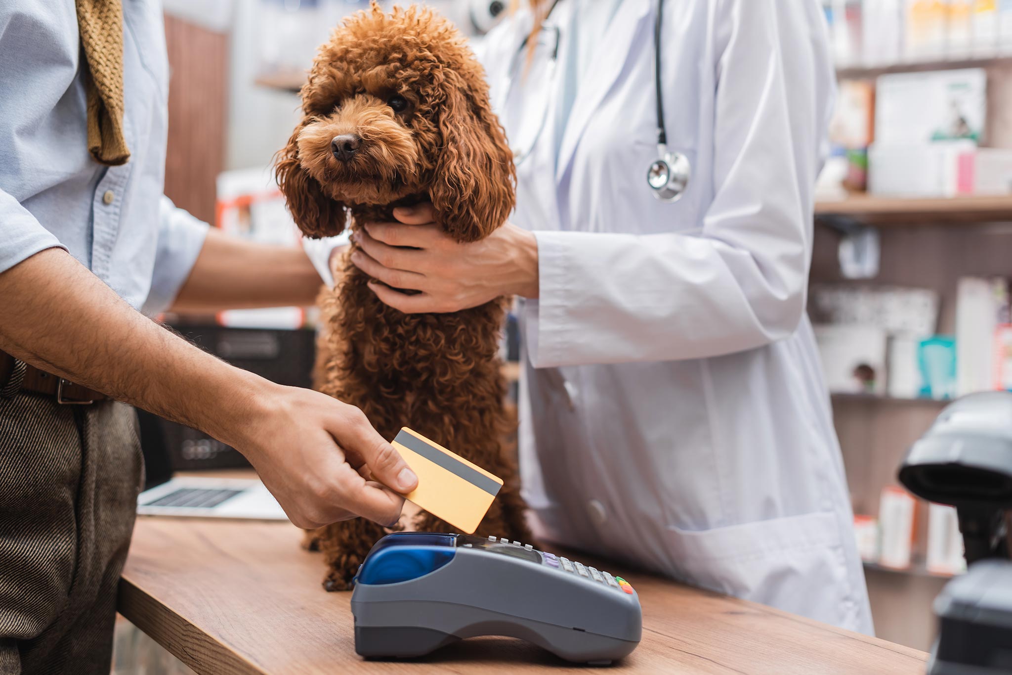 man using credit card to pay doctor for services while poodle sits on counter