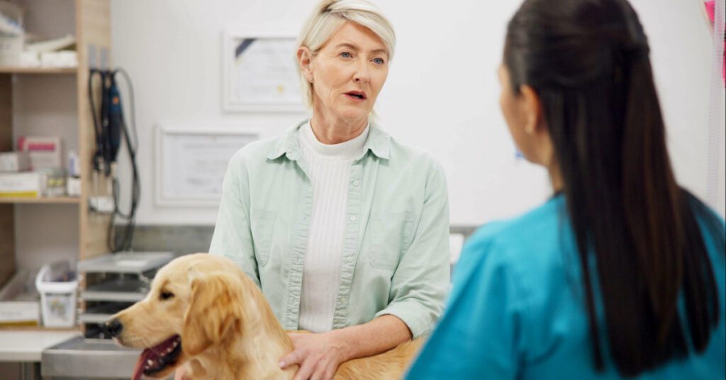 older female owner petting golden retriever dog while talking with female vet at clinic