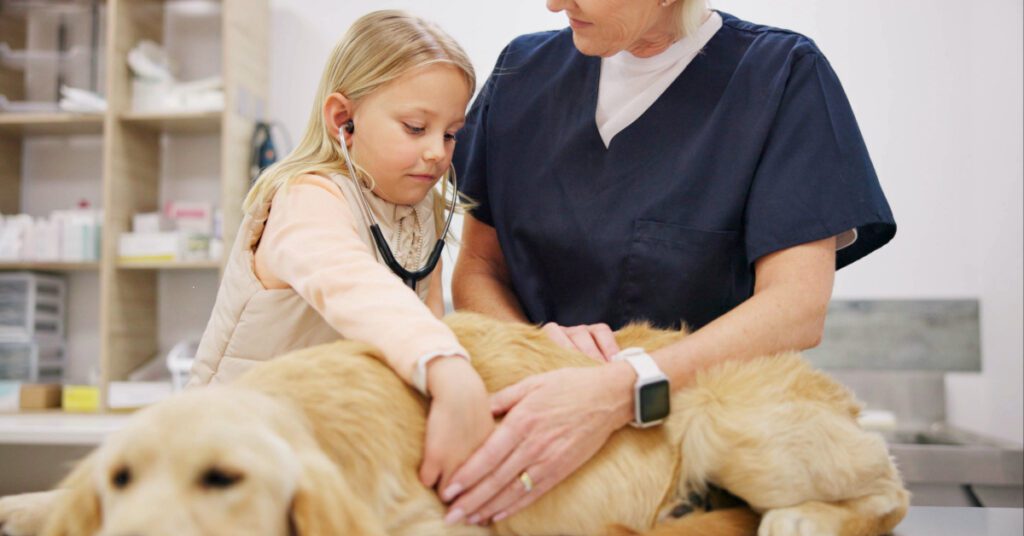 vet showing young girl how to listen to dog's heart at clinic