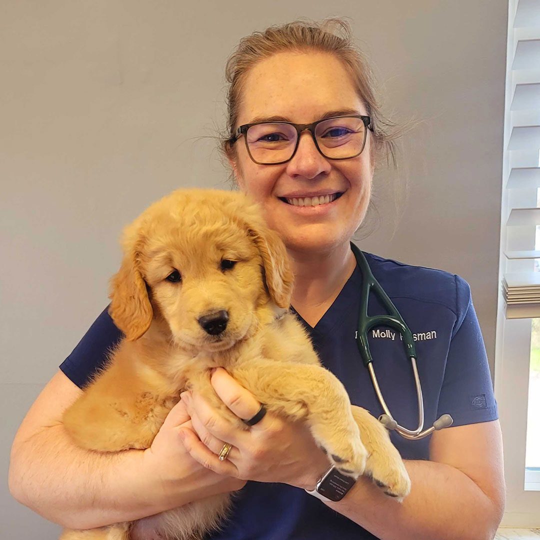 Dr. Husman smiling and posing for a picture while holding golden retriever puppy