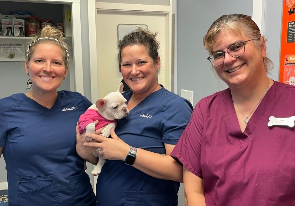 Three Techs With French Bulldog